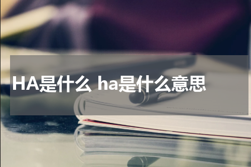 HA是什么 ha是什么意思