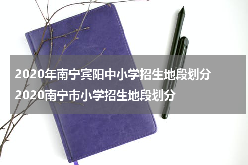 2020年南宁宾阳中小学招生地段划分 2020南宁市小学招生地段划分