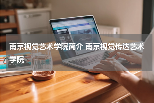 南京视觉艺术学院简介 南京视觉传达艺术学院