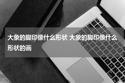 大象的脚印像什么形状 大象的脚印像什么形状的画