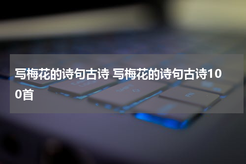 写梅花的诗句古诗 写梅花的诗句古诗100首