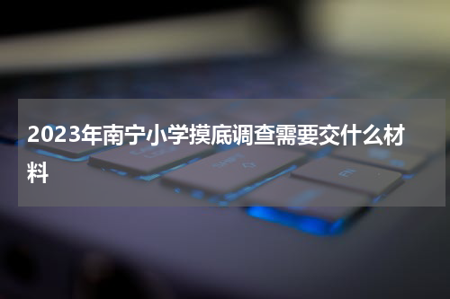 2023年南宁小学摸底调查需要交什么材料