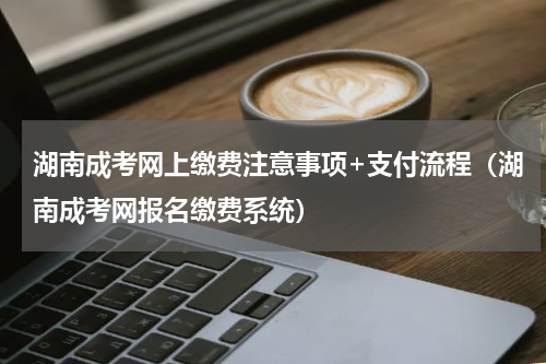 湖南成考网上缴费注意事项+支付流程（湖南成考网报名缴费系统）