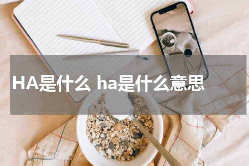 HA是什么 ha是什么意思