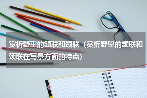 赏析野望的颔联和颈联（赏析野望的颔联和颈联在写景方面的特点）