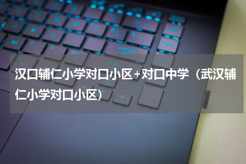 汉口辅仁小学对口小区+对口中学（武汉辅仁小学对口小区）