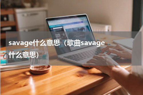 savage什么意思（歌曲savage什么意思）