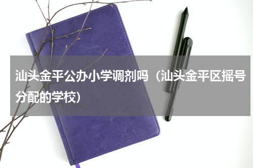 汕头金平公办小学调剂吗（汕头金平区摇号分配的学校）