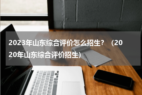 2023年山东综合评价怎么招生？（2020年山东综合评价招生）