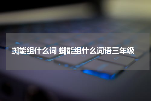 蜘能组什么词 蜘能组什么词语三年级