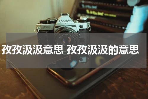 孜孜汲汲意思 孜孜汲汲的意思