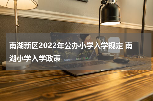 南湖新区2022年公办小学入学规定 南湖小学入学政策