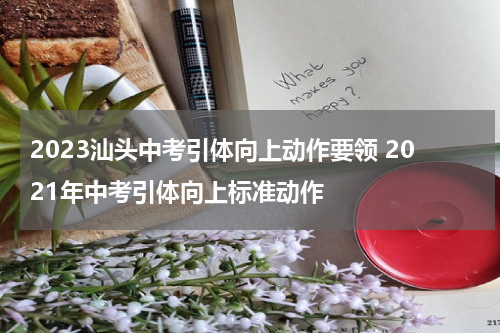 2023汕头中考引体向上动作要领 2021年中考引体向上标准动作
