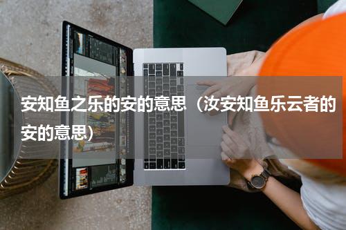 安知鱼之乐的安的意思（汝安知鱼乐云者的安的意思）