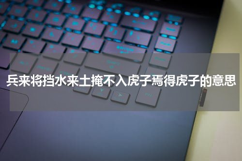 兵来将挡水来土掩不入虎子焉得虎子的意思
