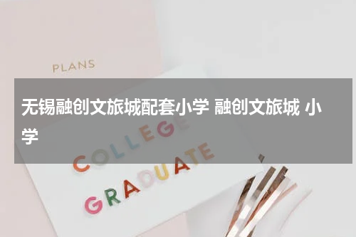 无锡融创文旅城配套小学 融创文旅城 小学