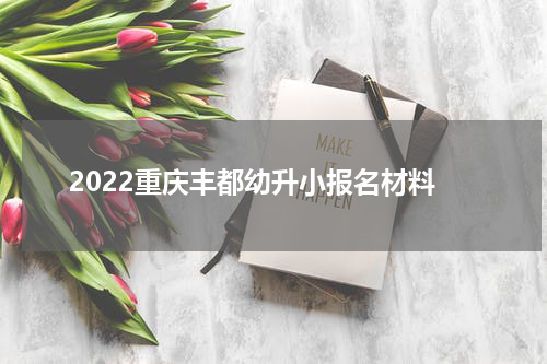 2022重庆丰都幼升小报名材料