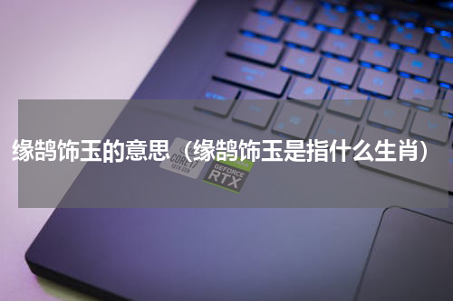 缘鹄饰玉的意思（缘鹄饰玉是指什么生肖）