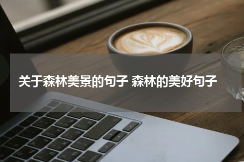 关于森林美景的句子 森林的美好句子