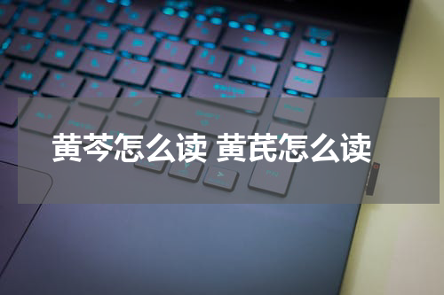 黄芩怎么读 黄芪怎么读