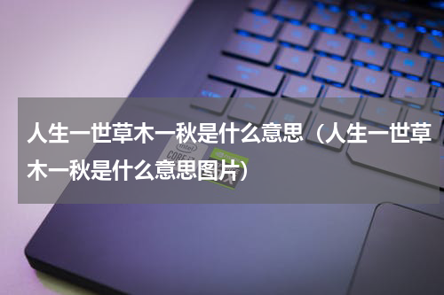 人生一世草木一秋是什么意思（人生一世草木一秋是什么意思图片）
