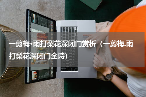 一剪梅·雨打梨花深闭门赏析（一剪梅.雨打梨花深闭门全诗）