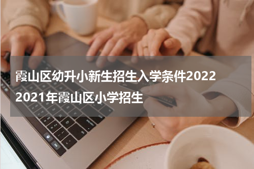 霞山区幼升小新生招生入学条件2022 2021年霞山区小学招生