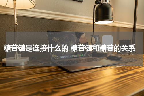 糖苷键是连接什么的 糖苷键和糖苷的关系