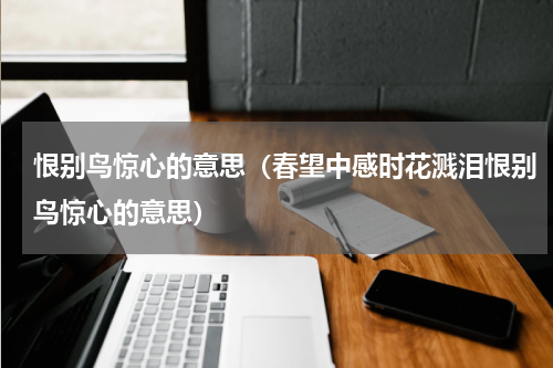 恨别鸟惊心的意思（春望中感时花溅泪恨别鸟惊心的意思）