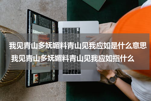 我见青山多妩媚料青山见我应如是什么意思 我见青山多妩媚料青山见我应如指什么