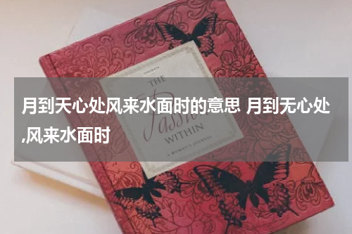 月到天心处风来水面时的意思 月到无心处,风来水面时