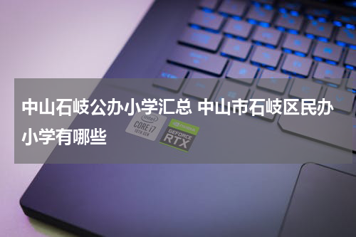中山石岐公办小学汇总 中山市石岐区民办小学有哪些