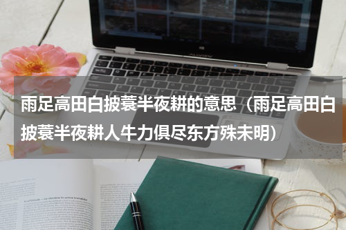 雨足高田白披蓑半夜耕的意思（雨足高田白披蓑半夜耕人牛力俱尽东方殊未明）
