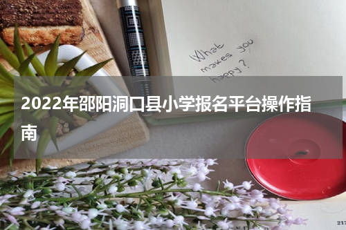 2022年邵阳洞口县小学报名平台操作指南