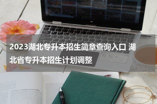 2023湖北专升本招生简章查询入口 湖北省专升本招生计划调整