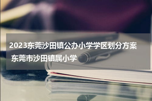 2023东莞沙田镇公办小学学区划分方案 东莞市沙田镇属小学