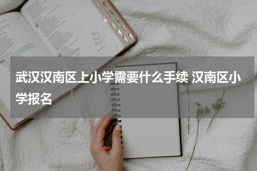武汉汉南区上小学需要什么手续 汉南区小学报名