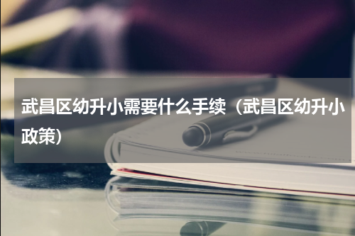 武昌区幼升小需要什么手续（武昌区幼升小政策）