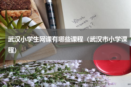 武汉小学生网课有哪些课程（武汉市小学课程）