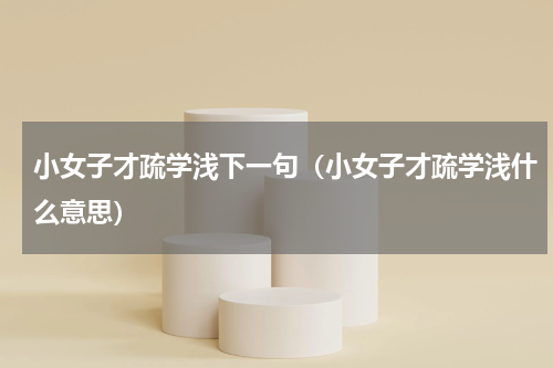 小女子才疏学浅下一句（小女子才疏学浅什么意思）