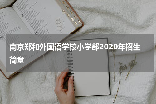 南京郑和外国语学校小学部2020年招生简章
