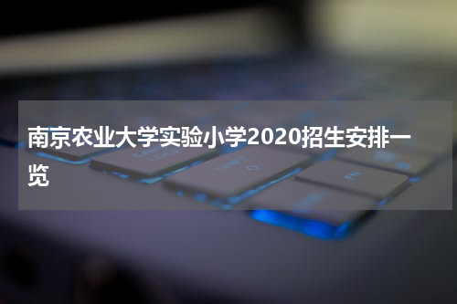 南京农业大学实验小学2020招生安排一览