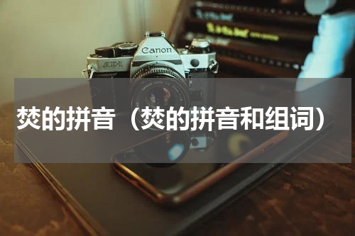 焚的拼音（焚的拼音和组词）