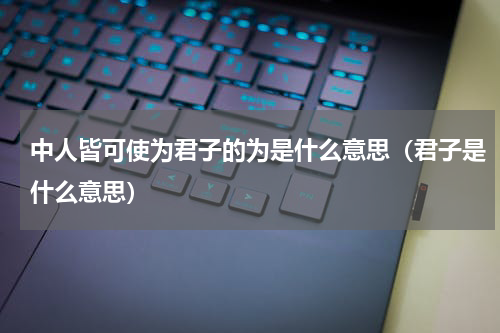 中人皆可使为君子的为是什么意思（君子是什么意思）