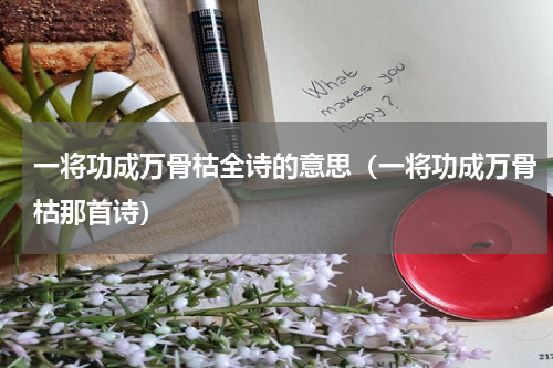 一将功成万骨枯全诗的意思（一将功成万骨枯那首诗）