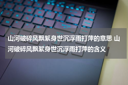 山河破碎风飘絮身世沉浮雨打萍的意思 山河破碎风飘絮身世沉浮雨打萍的含义