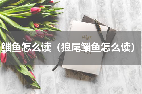 鲻鱼怎么读（狼尾鲻鱼怎么读）