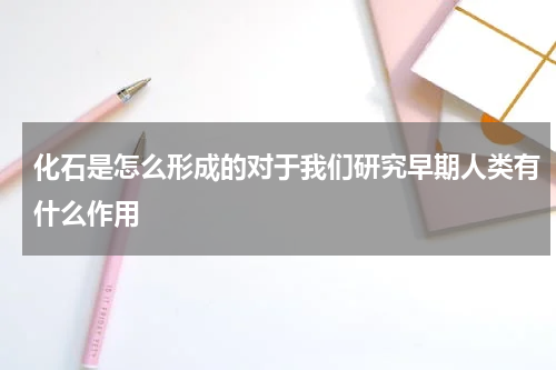 化石是怎么形成的对于我们研究早期人类有什么作用