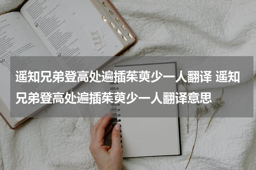 遥知兄弟登高处遍插茱萸少一人翻译 遥知兄弟登高处遍插茱萸少一人翻译意思