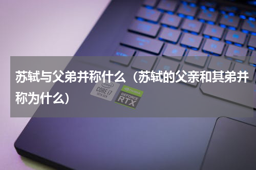 苏轼与父弟并称什么（苏轼的父亲和其弟并称为什么）